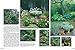 Encyclopedia of Garden Design and Structure: Ideas and Inspiration for Your Garden