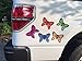 car Magnets Butterfly Power Set of Five