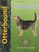 Otterhound