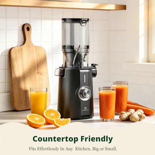 LINKChef Cold Press Juicer, 200W Masticating Slow Juicer 4.53" Large Feed Chute Fit Whole Fruits Vegetables with Juice Recipes, High Juice Yield, Easy to Clean, BPA-Free