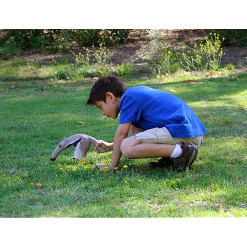Toys & Games, Kids' Electronics, Electronic Learning Toys