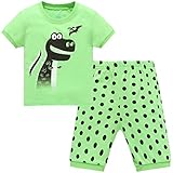 Hugbug Boys Dinosaur Pajamas Set 2-7T