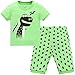 Hugbug Boys Dinosaur Pajamas Set 2-7T