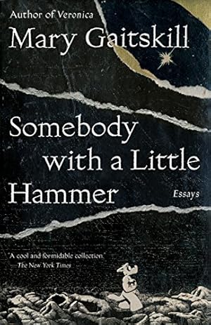 Somebody with a Little Hammer by Mary Gaitskill