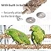MwaBaiTx Natural Parrot Perch Set, Bird Chewing Toys Bird Perch Bird Stand Bird Cage Accessories (Type 3)thumb 4