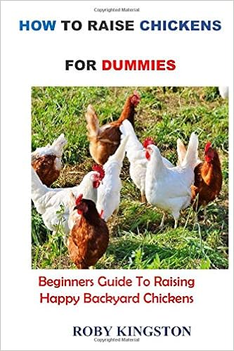 How To Raise Chickens For Dummies Beginners Guide To Raising