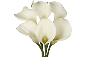 GlobalRose 72 White Calla Lily Flowers – Hand-Picked Flowers Fresh Bouquet for Graduation, Anniversary, Birthday & Special Occasions
