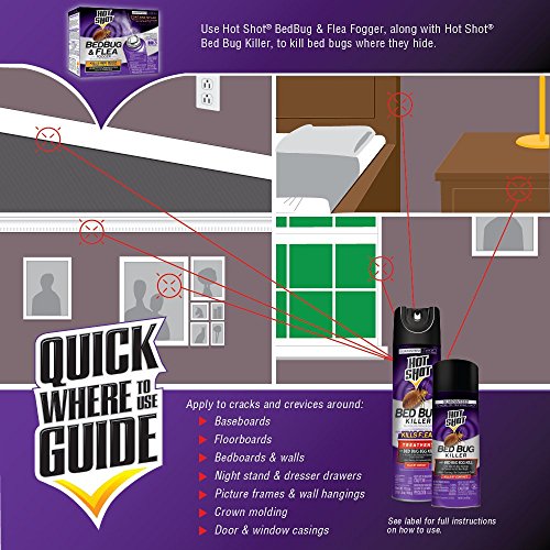 Hot Shot HG96440 Bed Bug Killer, pack of 1, White Pricepulse