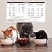 Holistic Select Natural Grain Free Dry Cat Food, Adult & Kitten Recipe, 11.5-Pound Bag