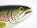LX Hand Painted Rainbow Trout Replica Wall Mount Game Fish Decor Room Ornament Plaque 18
