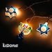 LIDORE 10 light Hanukkah festival light set. 110V
