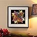 DIY 5D Diamond Picture, Vmree Rhinestone Embroidery Painting Crystals Pasted Handcraft Cross Stitch Handiwork Kits Visual Arts for Home Decor (VISIONS, 30x30cm)