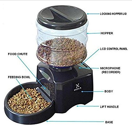 PEDY Distributeur de Nourriture Alimentation pour Chien Croquettes Automatique 5.5 LITRES Pour Pet Chien Chat