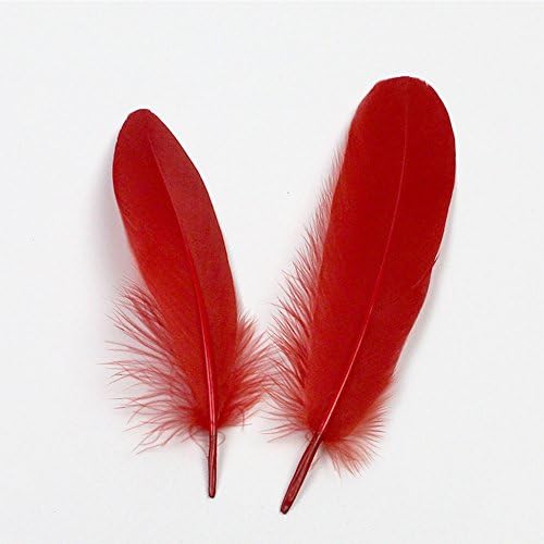 20 Pcs 6-8 Inches Feathers In Bulk White Multi Color Feathers Long Feathers For Crafts Natural Feathers For Decor Long Feathers Natural Natural White Feathers for Wedding (Red)