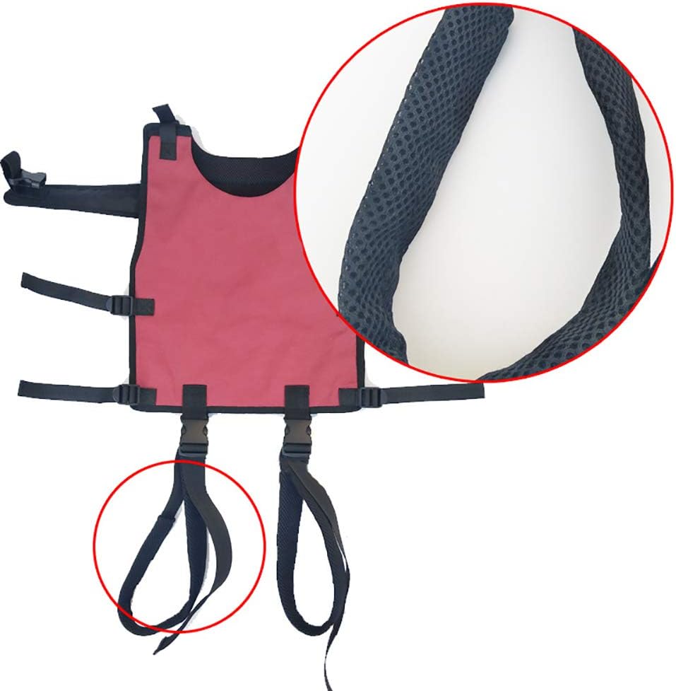 Fushida Full Body Transfer Sling Pad, Safe Transfer Gait Belt, Standing Aids and Support Strap for Recliner, Breathable Cotton Belt for Brain Paralysis Chirldren(Red, FYH196): Health & Personal Care