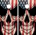 GRAPHIX Express - American Flag Cornhole Board Wrap - C22 American Flag Skull - Laminated Weatherproof Vinyl Decal - Easy Bubble-Free Application - Stickers Dimensions: 2' x 4' - Set of 2