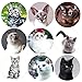 200 Pcs Realistic Cute Cat Stickers Kitten Roll Sticker for School
