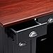 Bush Furniture Fairview Home Office Desk, Antique Black/Hansen Cherry