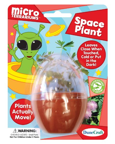 Dunecraft Space Plant Science Kit