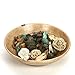 Hosley Eucalyptus Mint Chunky Potpourri 5 Ounces Ideal Gift for Party Favors Weddings Spa Reiki Meditation Bathroom Settings O4