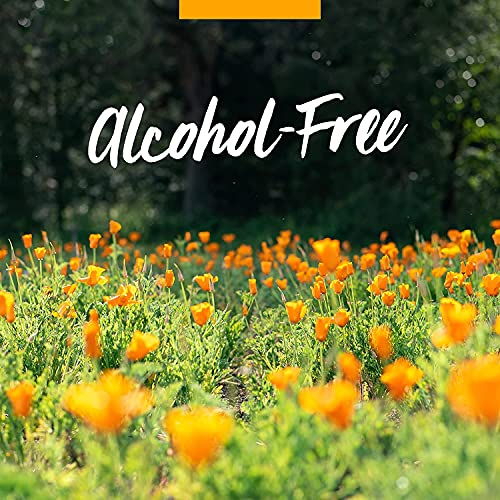 Herb Pharm Lung Expectorant Liquid Herbal Formula to Support