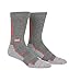 Puma Golf 2018 Men's Fusion Wordmark Sock (Quiet Shade-Paradise Pink, 9-12)