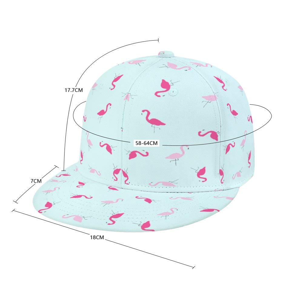 Dad Hats Hip Hop Hats Baseball Caps 