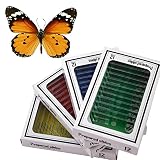 BestOfferBuy 48pcs Animals Insects Plants Flowers Plastic Prepared Microscope Slides Set + 1 pc Real Butterfly Specimen Children Student Science Education Toy