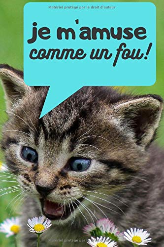 Je M Amuse Comme Un Fou Carnet Chats Rigolos Special Blagues Chats Chats Mignons Carnet De Notes Chats Mignons Qui Parle Comportant 100 Pages Cadeau Amoureux Des Chats French Edition Beautiful
