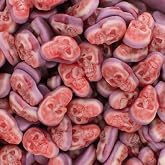 Halloween Gummy Skulls Candy, Fruity Shaped Skeleton Gummies, 1 lb | Sugar Skull Gummies, Spooky Halloween Party Favor, Trick or Treat Bulk Bag, Creepy Candy