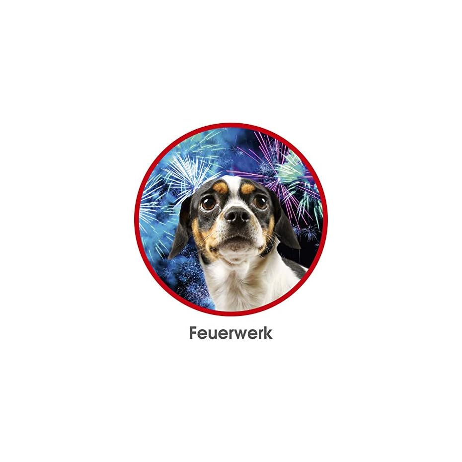 RelaxoPet TierentspannungsTrainer <em>Version 2018</em> Für Hund &amp; Katze