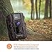 Baberdicy Trail Camera, 1080P 12MP HD Wildlife Camera Motion Activated Night Version,Waterproof Game Hunting Cam 120°Wide Angle, 0.2s Trigger Time, 65ft Range