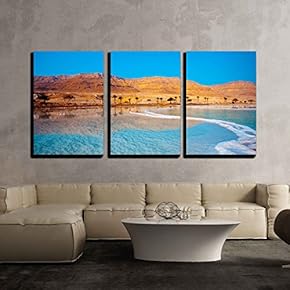 Dead Sea Seashore with Palm Trees and Mountains...