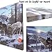 BANBERRY DESIGNS Wolves LED Lighted Sun Canvas Print Home Decor - Wolves Crossing a Frozen Snowy Winter Forest with Majestic Mountain Landscape - 16x12 Inch