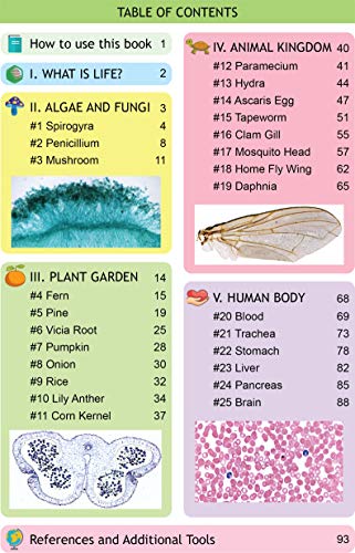 Rs' Science - 25 Microscope Prepared Slide Set for You to Learn The Beauty of Biology (2019 Version) with Printed Guide Book - Thumbnail 2
