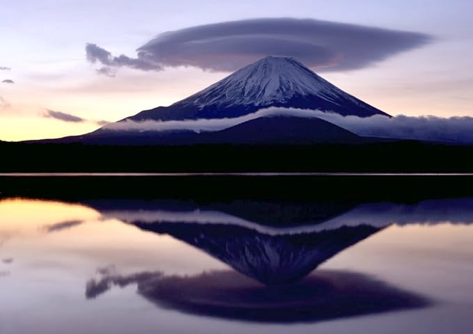 すべての美しい花の画像 トップ100 壁紙 パワー スポット