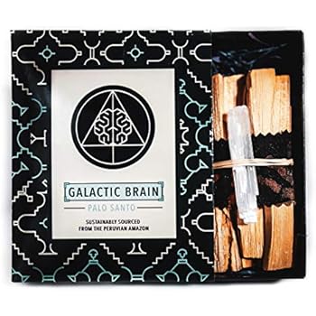 Galactic Brain Palo Santo Sticks | 14-16 Smudge Sticks Bundled with Selenite Stones in Gift Set | 3 Ounces of Palo Santo Wood for Cleansing Your Home