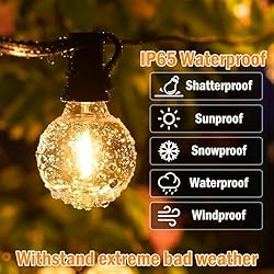 Outdoor String Lights with Dimmer, 2 Pack 98FT LED