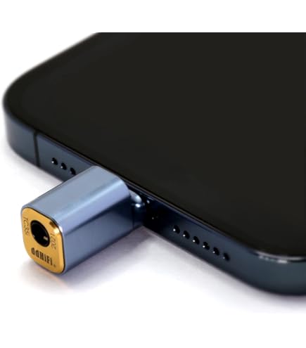Amazon.com: Linsoul DDHIFI MFi09S L to USB-C OTG Nyx Series