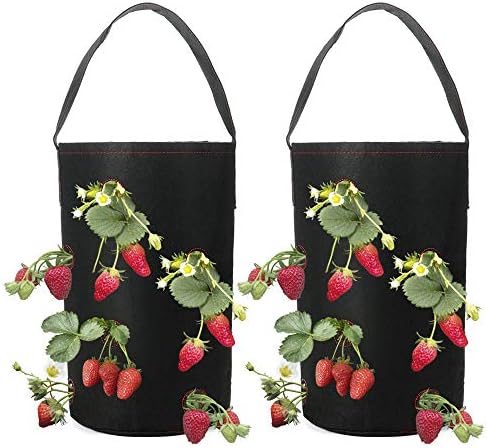 TRIEtree Hanging Planter Bag, 2 Pack Strawberry Planter Garden Growing Bag Fabric Planting Containers