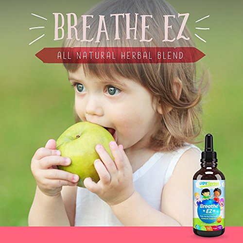 Organic Kids Cough Syrup - Liquid Cough Drops for Congestion, Allergy & Sinus Relief, Elderberry Cough Suppressant & Sinus Cleaner, Sinus Buster for Fast Cough Relief, 1 oz
