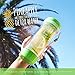 Teami BPA Free Tea Tumbler, Green, 13.5 Oz.