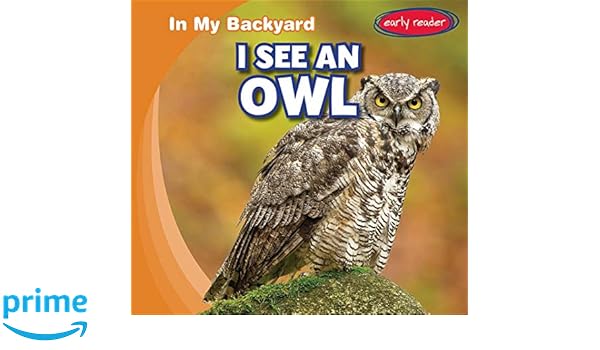 I See An Owl In My Backyard Agatha Gregson 9781538231883