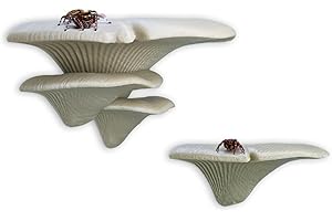 Daerky Jumping Spider Mushroom Shelf, Magnetically Concealed Jumping Spider Habitat,Serves As Enclosure Decorate Accessories for Spider Climbing Feeding and Platforms (Simulated wood)