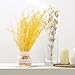 KOODER Water Beads,42000 Pcs,Water Gel Beads Pearls for Vase Filler, Wedding Centerpiece, Home Decoration, Plants, Toys.