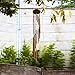 4-FQ Wind Chimes, Wind Bells Outdoor Long Garden Chimes Wind Chimes Outdoor Amazing Grace Windchimes Large Deep Tone for Home Garden Decoration (Golden)