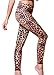 Teeki - Designer Activewear - Awakening Gold Hot Pant