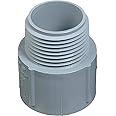 Carlon E943DR-CTN PVC Terminal Adapter, Electrical, 1/2-In. - Quantity 1