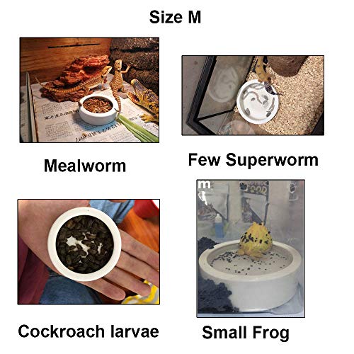 Adoggygo Worm Dish Reptile Mealworm Feeder Dish Ceramic Bowl With