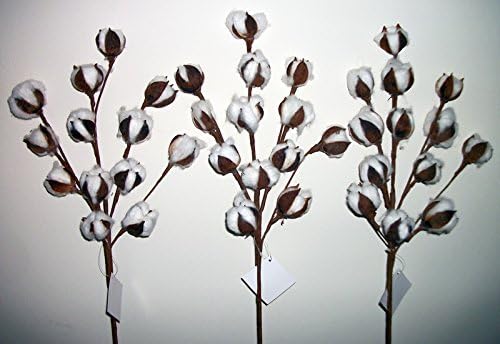 X-Large Floral Cotton Stem - 3 Stems - 13 Bols per stem - wired stems
